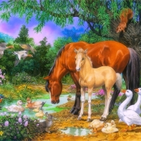 Foal and Mare
