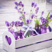 Spas lavender