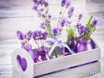 Spas lavender