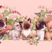 KITTIES FOR CARMEN...''CARMENMBONILLA''