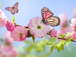 Butterflies in flowers