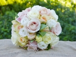 ROMANIC ROSES
