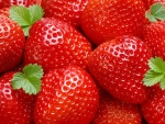 strawberries