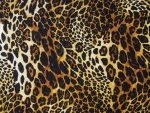 leopard wallpaper