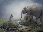 Girl and elephants