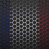 Drapeau francais dans l'hexagone