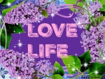LOVE LIFE