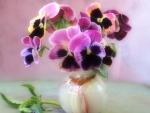 ~Pansy Flowers~