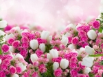 ~Pink & White Flowers~