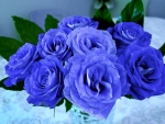 Blue Roses!