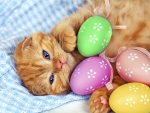 Easter kitty