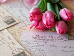 Postcard and Tulips