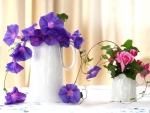 Beautiful purple flowers and roses