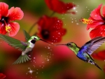 Humming birds and flowers