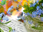 Forget me not flowers
