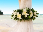 Curtain beach wedding