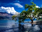 Lake-Wakatipu-Queenstown-New-Zealand