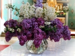Lilac Still Life!