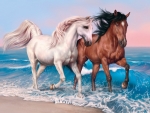Two Stallion on the Beach