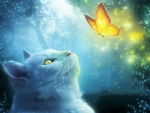Cat Mesmerized by a Butterfly