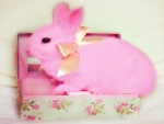 The Gift : PINK Bunny â™¥