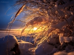 Winter Sunset