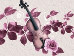 Violin Melody