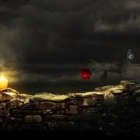 'The last rose'......