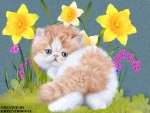 KITTY IN DAFFODIL GARDEN