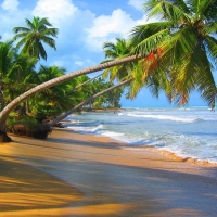 Gorgeous tropical beach