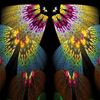 Butterflies Fractal