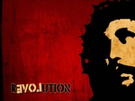 rEVOLution