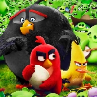 Angry birds