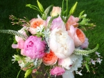 Bouquet of Peonies