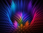 Colorful Feathers