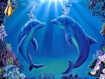 DOLPHIN LOVE