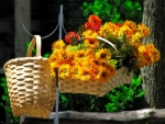 Basket with flowers