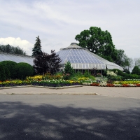 Chingacosy Greenhouse long shot Bramalea Ontario