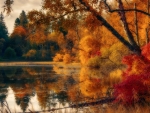 Autumn Lake