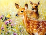 Lovely Deers