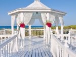 Beach Wedding