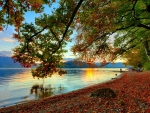 Autumn Lake