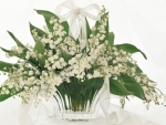 Lily of the valley