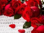 Romantic Red Roses