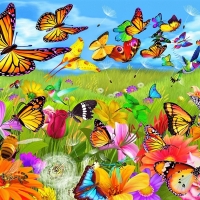 Wild Fields  of Butterflies