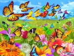 Wild Fields  of Butterflies
