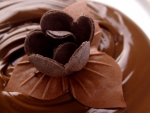 chocolate flower on the mousse