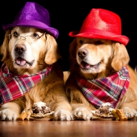 The boys taking a beer