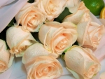 Peach Roses