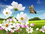 Flowers and Butterfly